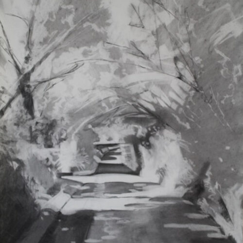 Dappled Light I - charcoal on paper - 58cms x 78cms