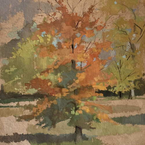 Tree study II - Gouache on paper