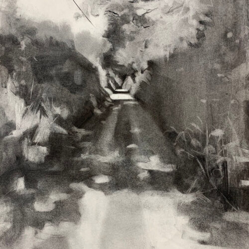 This morning I - Charcoal on paper - 58cms x 78cms