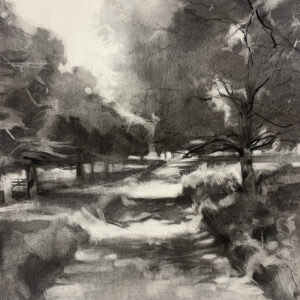 charcoal on paper - 58cmsx78cms