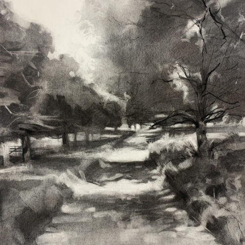 charcoal on paper - 58cmsx78cms