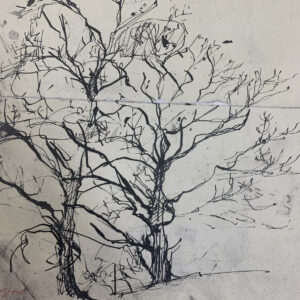 Tree study III - Ink on paper